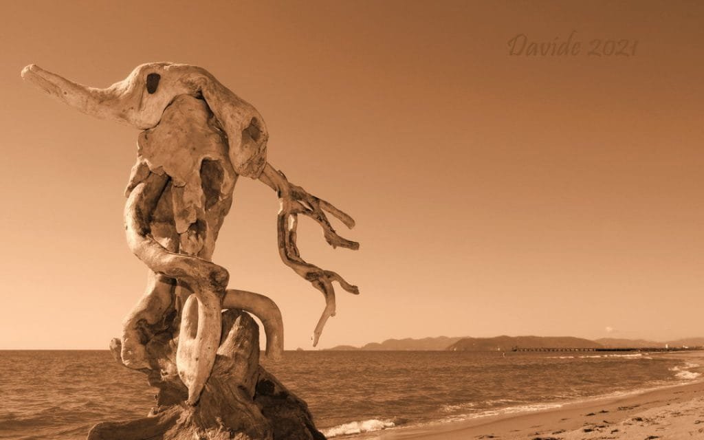 Erminio Tansini -opere