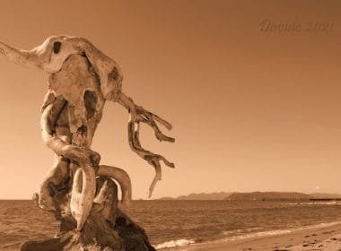 Erminio Tansini -opere