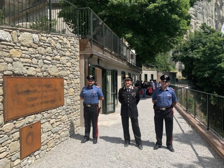 “Quanti alberi esistono in Toscana?”: la parola al comandante Piacentini dei carabinieri forestali del Parco "Quanti alberi esistono in Toscana?": la parola al comandante Piacentini dei carabinieri forestali del Parco - ambiente, boschi