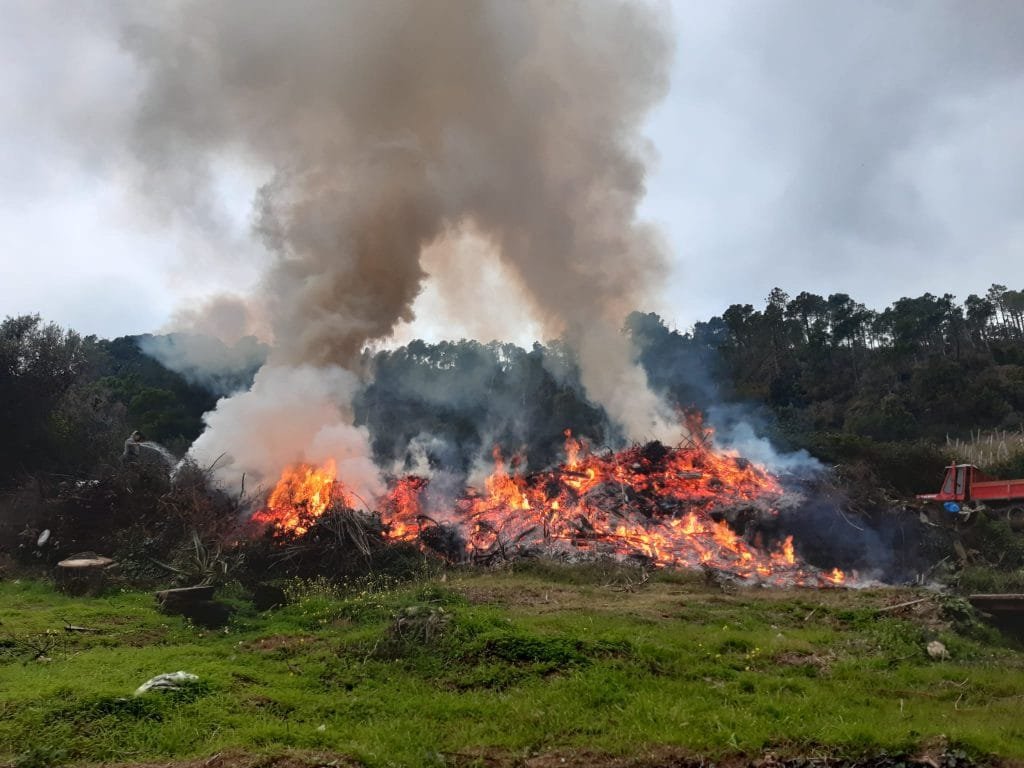 A Bonassola bruciano rifiuti speciali, intervengono i Carabinieri Forestali A Bonassola bruciano rifiuti speciali, intervengono i Carabinieri Forestali - bonassola, carabinieri