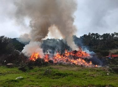 A Bonassola bruciano rifiuti speciali, intervengono i Carabinieri Forestali - bonassola, carabinieri