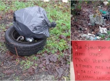 Strani frutti pendono dagli alberi in Lunigiana! - lunigiana, rifiuti