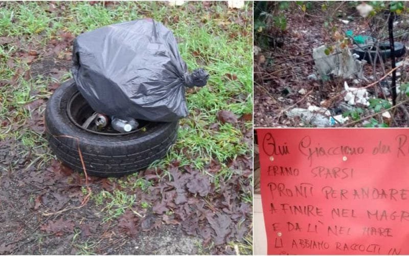 Strani frutti pendono dagli alberi in Lunigiana! - lunigiana, rifiuti