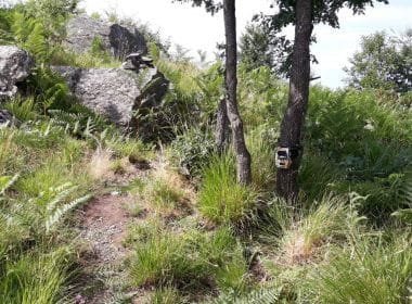 Rinnovato il consiglio direttivo del Parco delle Apuane - Parco Apuane