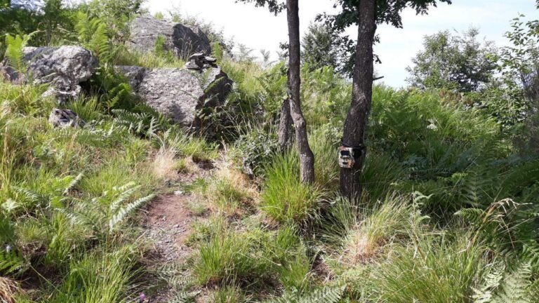 Rinnovato il consiglio direttivo del Parco delle Apuane - parco apuane, rinnovo