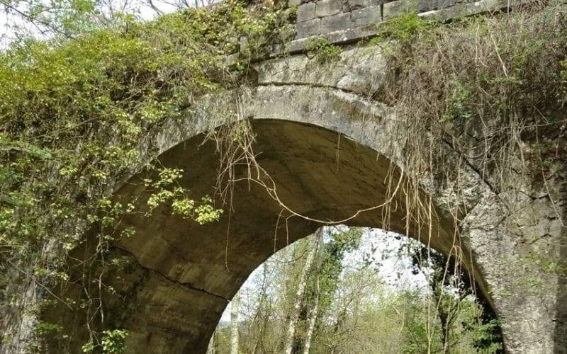 Ponte di Casalina, intervengono i consiglieri provinciali di centrodestra - Casalina, Centrodestra