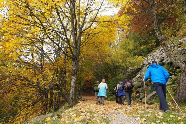 Vie storiche e turismo Outdoor: un tavolo di lavoro illustrare la ricchezza nelle aree della MaB Vie storiche e turismo Outdoor: un tavolo di lavoro illustrare la ricchezza nelle aree della MaB - Riserva MaB Unesco, tavolo di lavoro