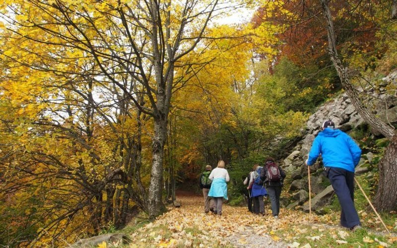 Vie storiche e turismo Outdoor: un tavolo di lavoro illustrare la ricchezza nelle aree della MaB - Riserva MaB Unesco, tavolo di lavoro