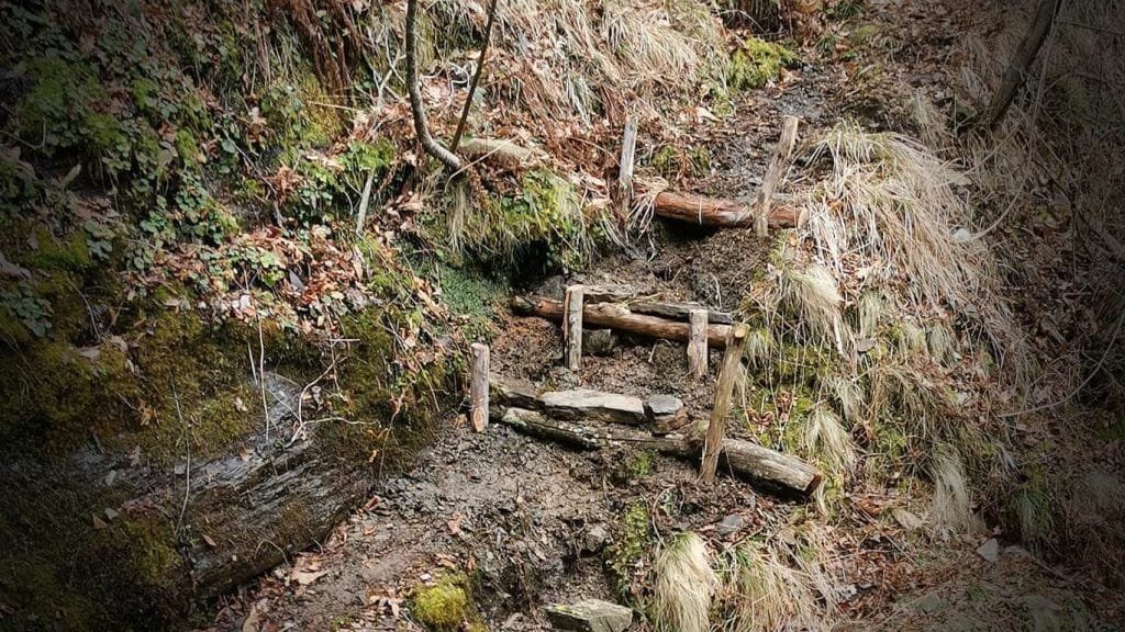 Unione di Comuni, operai al lavoro per sistemare i sentieri - lunigiana, percorsi