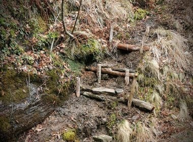 Unione di Comuni, operai al lavoro per sistemare i sentieri - lunigiana, percorsi