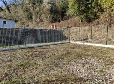 "No agli abbandoni", l'Unione dei Comuni apre una pensione per cani - unione dei comuni