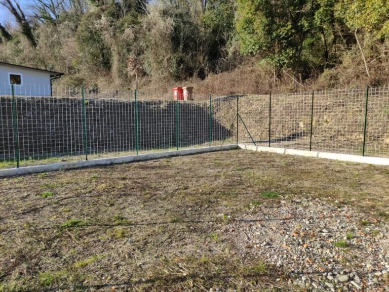 “No agli abbandoni”, l’Unione dei Comuni apre una pensione per cani "No agli abbandoni", l'Unione dei Comuni apre una pensione per cani - Cani, canile