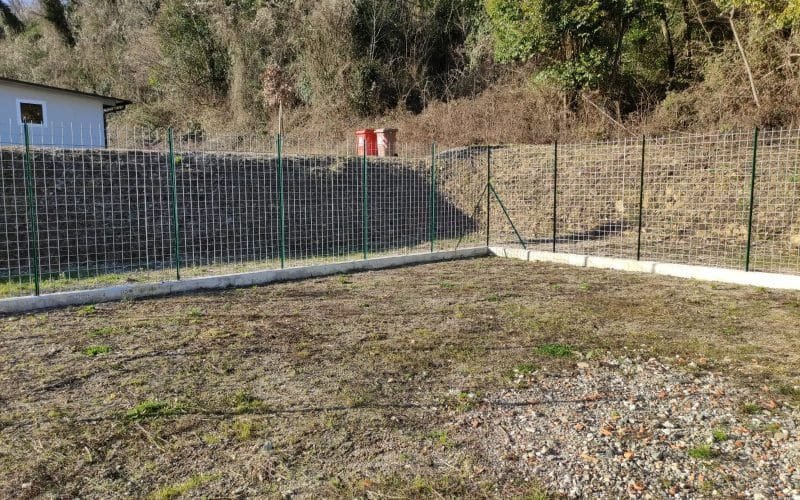 "No agli abbandoni", l'Unione dei Comuni apre una pensione per cani - Cani, canile