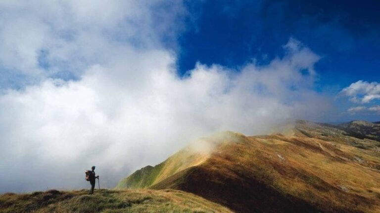 La Comunità del Cibo di Crinale 2040 diventa Distretto del Cibo: la visione diviene realtà La Comunità del Cibo di Crinale 2040 diventa Distretto del Cibo: la visione diviene realtà - 12040, comunità del cibo di crinale