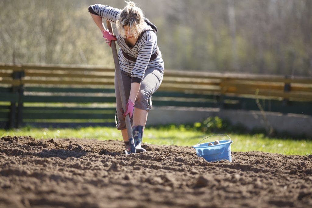 Agricoltura, in Toscana il lavoro sempre più femminile - agricoltura, donne