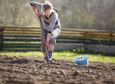 Agricoltura, in Toscana il lavoro sempre più femminile - agricoltura
