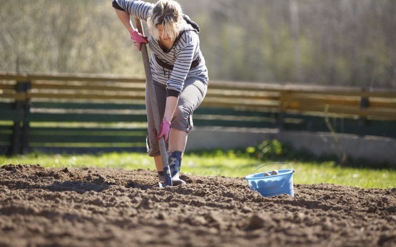 Le imprenditrici agricole si incontrano a Pontremoli - agricoltura, coldiretti