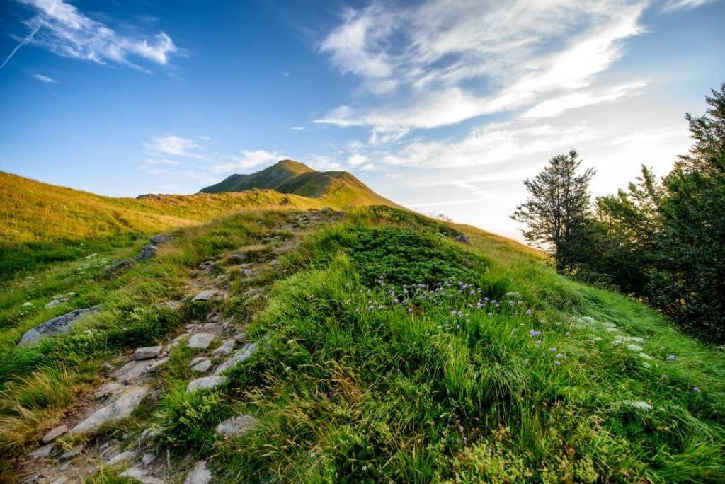 Parco Appennino: appuntamenti con la natura a Ligonchio - Estate, ligonchio