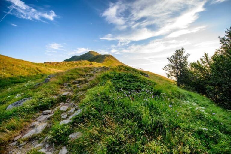 Nove reportage per raccontare il Parco Nazionale Nove reportage per raccontare il Parco Nazionale - parco appennino tosco emiliano, Reportage