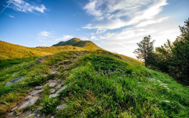Parco Appennino: appuntamenti con la natura a Ligonchio - Estate, ligonchio