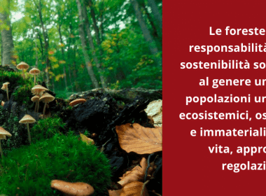 Crediti di sostenibilità della Riserva di Biosfera: aperte consultazioni per il Disciplinare di compravendita - consultazioni