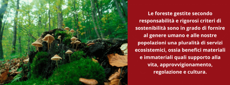 Crediti di sostenibilità della Riserva di Biosfera: aperte consultazioni per il Disciplinare di compravendita - consultazioni, crediti sostenibilità