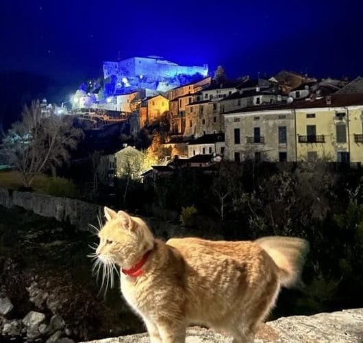 Pontremoli: Cartello illuminato di blu per celebrare il 118 sul territorio - 118, blu