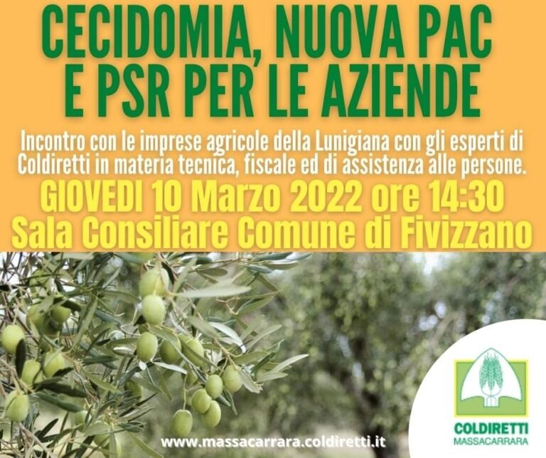 Cecidomia degli ulivi: giovedì 10 marzo un incontro a Fivizzano Cecidomia degli ulivi: giovedì 10 marzo un incontro a Fivizzano - cecidomia ulivi, Fivizzano