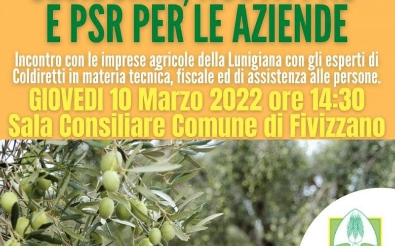 Cecidomia degli ulivi: giovedì 10 marzo un incontro a Fivizzano - cecidomia ulivi, Fivizzano