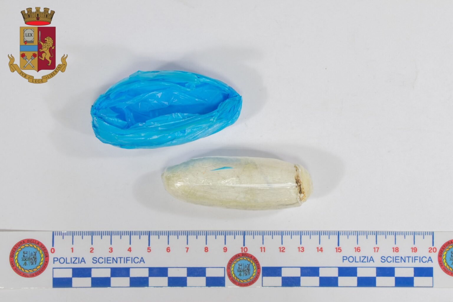 La Spezia: 29enne arrestato con 30 grammi di cocaina purissima - arresto, cocaina purissima