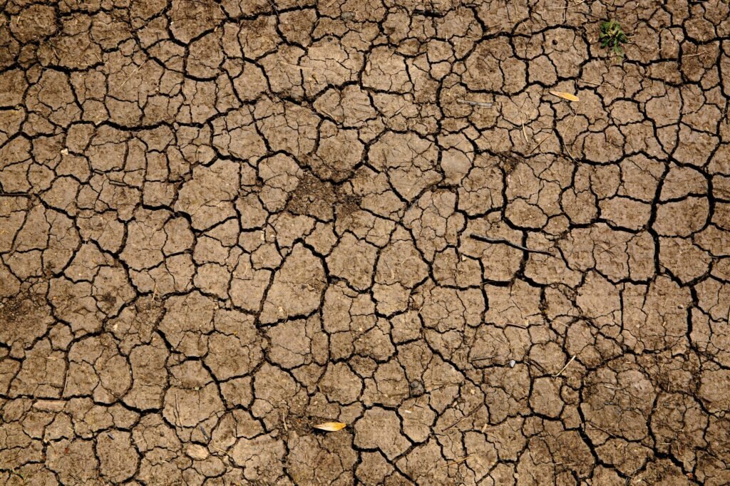 Non piove da 108 giorni. MabAppennino propone nuove soluzioni per la gestione dell'acqua - MaB-Unesco-dellAppennino-Tosco-Emiliano, pioggia