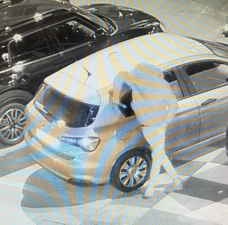 La Spezia, spaccate auto: arrestato rapinatore seriale La Spezia, spaccate auto: arrestato rapinatore seriale - arresto, carbinieri