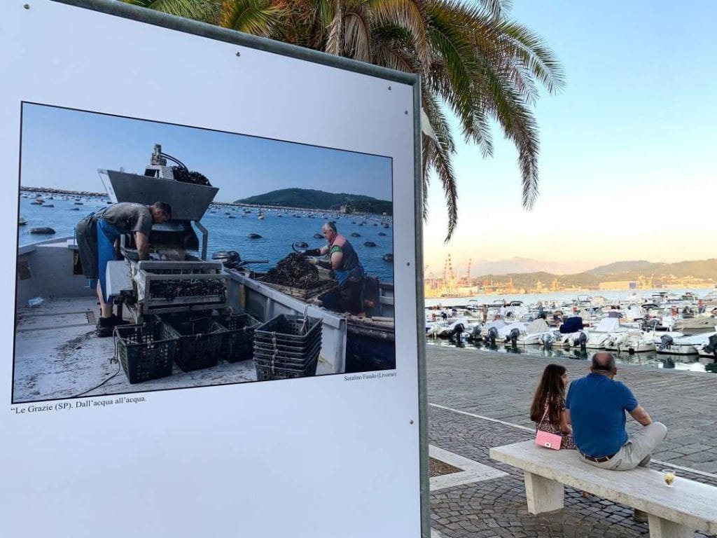 Torna il concorso fotografico "Premio mitilicoltori della Spezia" 2022 - Concorso, la spezia