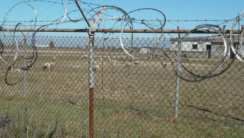 Accademia della Pace: una manifestazione a Coltano per dire no alle basi militari Accademia della Pace: una manifestazione a Coltano per dire no alle basi militari - accademia della pace, base