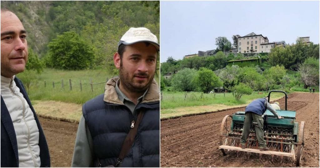 Dopo decenni la canapa torna ad essere coltivata nel comune di Fivizzano Dopo decenni la canapa torna ad essere coltivata nel comune di Fivizzano - canapa, coltivazione