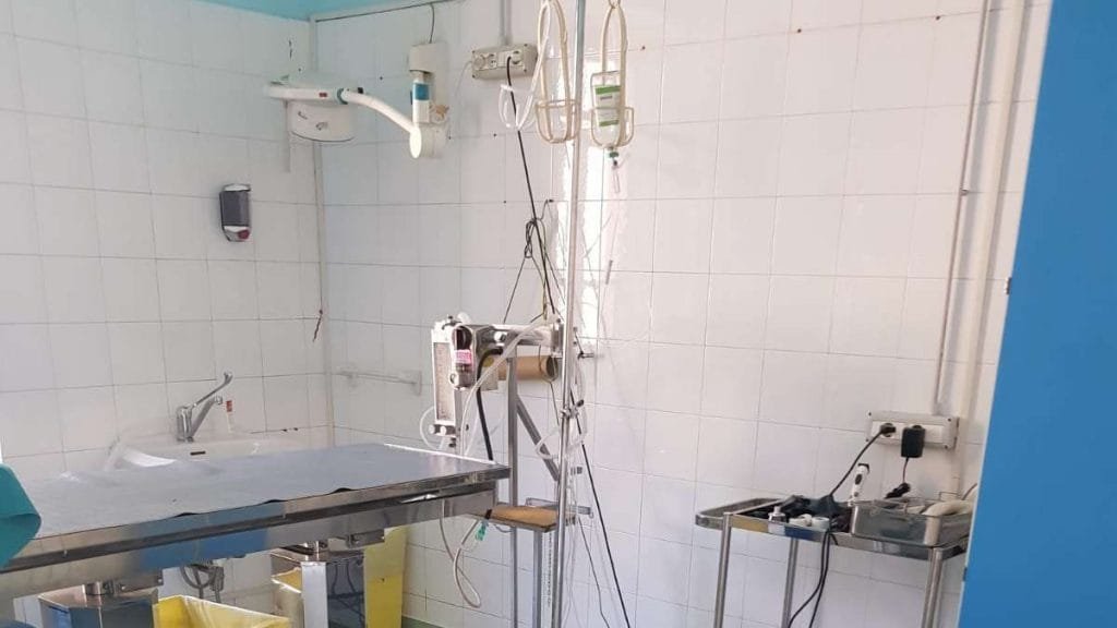 Grande novità dal Canile di Groppoli di Mulazzo: da giovedì, alla sterilizzazione degli animali ci pensa l’Unione di Comuni Montana Lunigiana Grande novità dal Canile di Groppoli di Mulazzo: da giovedì, alla sterilizzazione degli animali ci pensa l’Unione di Comuni Montana Lunigiana - canile, Groppoli