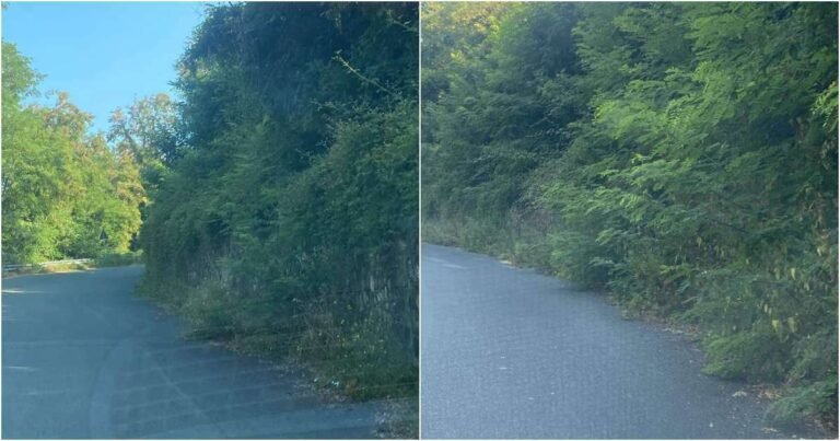 Federico Lucchetti e Omar Tognini (Forza Italia): strade provinciali di Filattiera impercorribili -