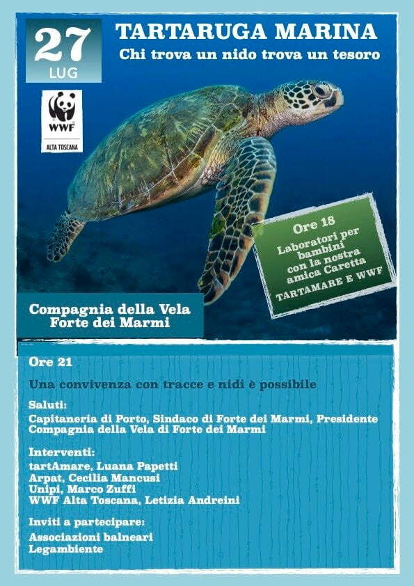 caretta caretta caretta caretta | nido | riviera apuana