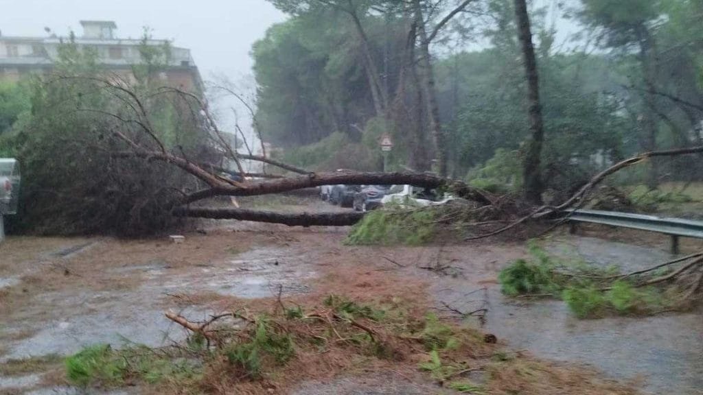Due morti in Toscana per il maltempo: a Lucca e a Carrara - danni, maltempo