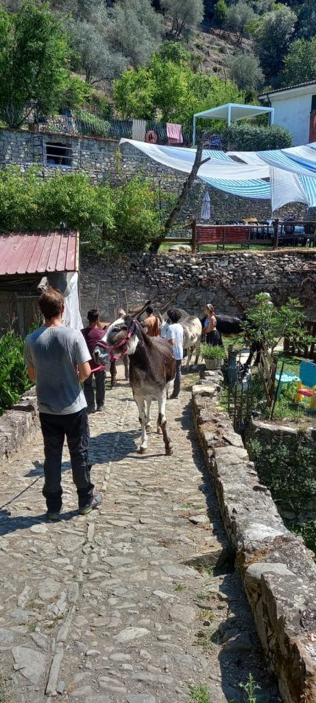 Fosdinovo: 35 ragazzi fanno tappa con "Dall'Appennino al mare con gli asini" – Immagine dell'articolo Fosdinovo: 35 ragazzi fanno tappa con "Dall'Appennino al mare con gli asini" - dall'appenino al mare con gli asini, fosdionovo