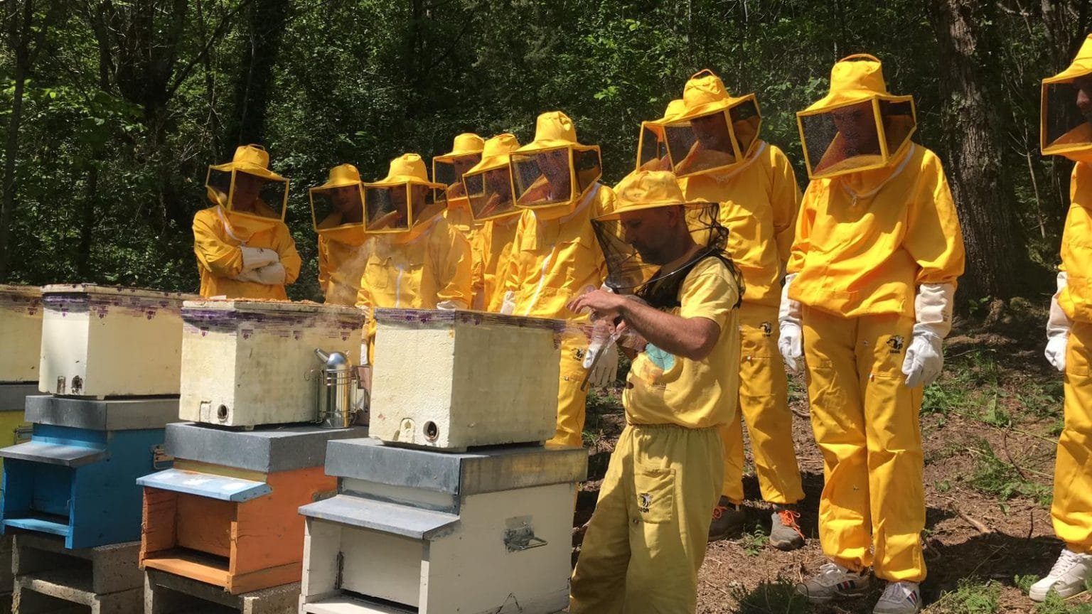 Soliera: gli studenti del Belmesseri producono il loro primo miele della Lunigiana - api, istituto belmesseri