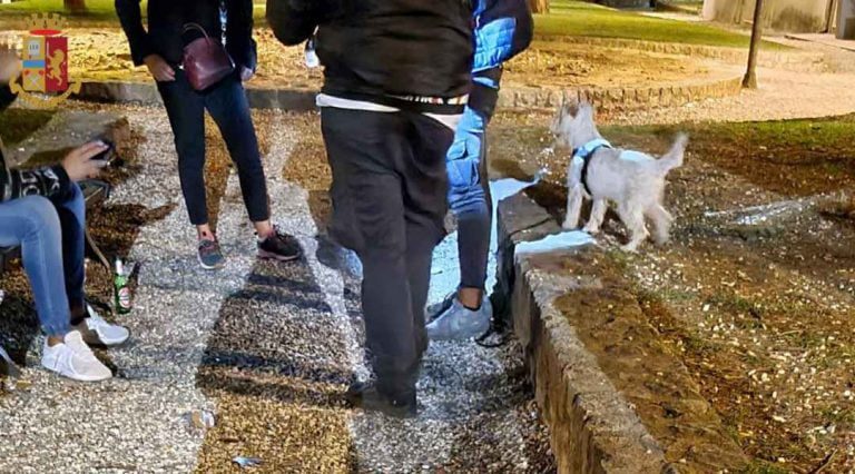 Operazione antidroga a Sarzana con il cane poliziotto Leone