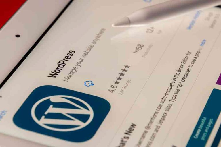 Hosting per WordPress: le caratteristiche immancabili per un sito performante