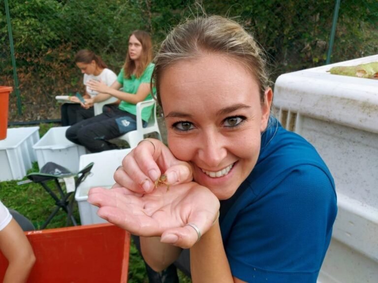Introdotti nei corsi d’acqua i piccoli gamberi di fiume italiano, un progetto europeo nel Parco al femminile Introdotti nei corsi d’acqua i piccoli gamberi di fiume italiano, un progetto europeo nel Parco al femminile - ambiente, gamberi
