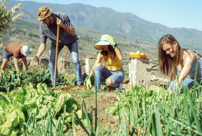 Lunigiana: il “pacchetto giovani” per chi vuole aprire un’impresa agricola