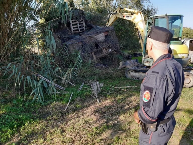 Sarzana, demolito capanno di caccia abusivo: sanzionato più volte il cacciatore - cacciatore, capanno abusivo