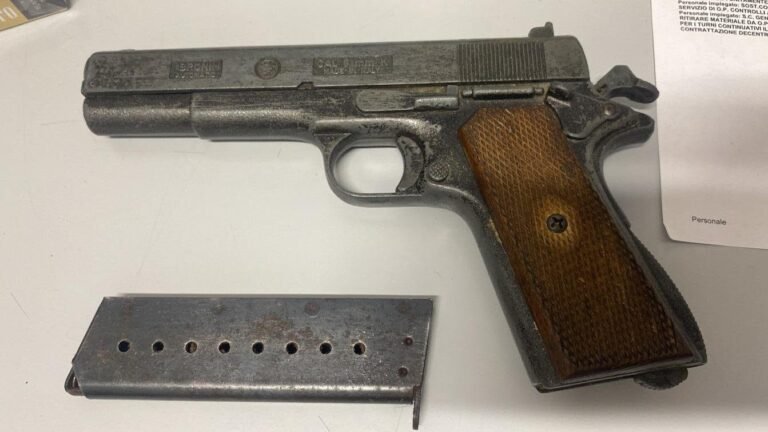 Sarzana, dà in escandescenza in casa con una Colt in mano: fermato dalla polizia - fermato, polizia