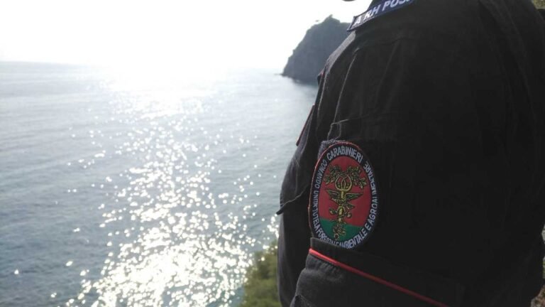 Abbandonano rifiuti nel Parco delle Cinque Terre, denunciati e sanzionati dai carabinieri - carabinieri, cinque terre