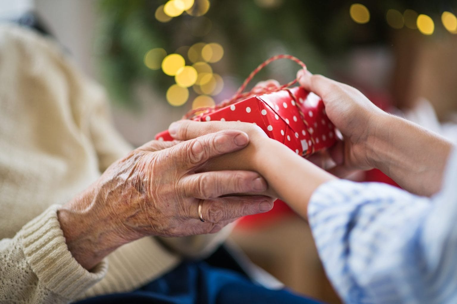 <strong>Nipoti di Babbo Natale: l’iniziativa benefica che esaudisce i desideri degli anziani torna protagonista in RSA Michelangelo</strong> - nipoti