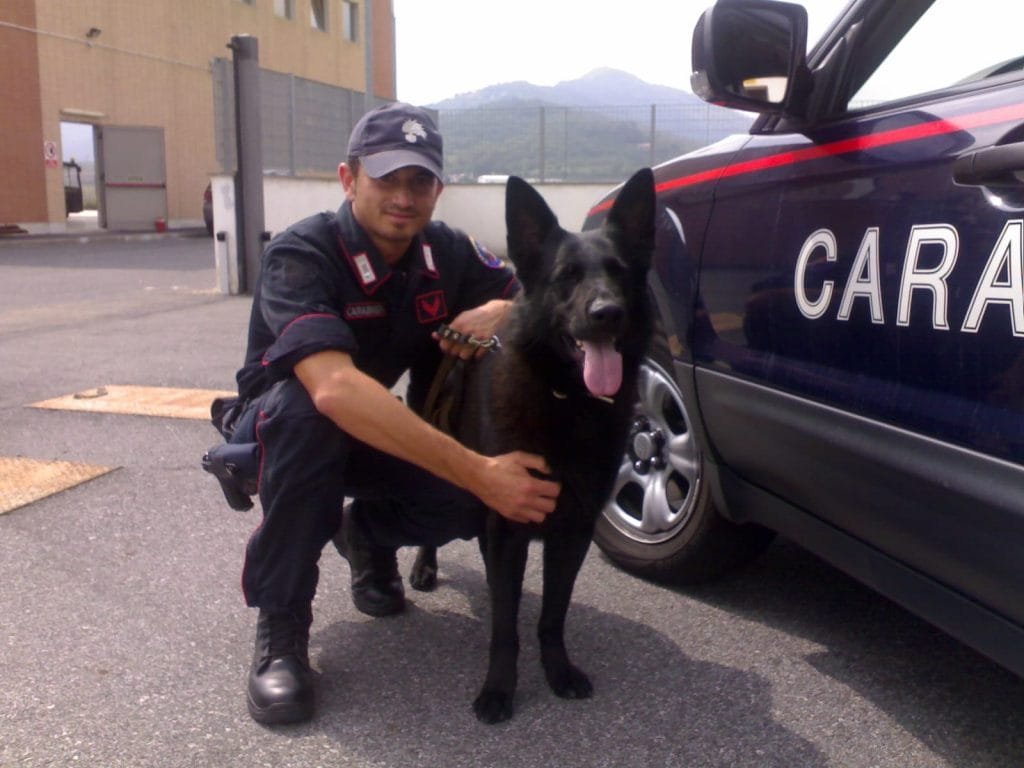 Controlli con le unità cinofile all'istituto Parentuccelli Arzelà di Sarzana - controlli antidroga, parentuccelli arzelà